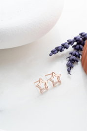 Heliophilia Silver Pendientes de Plata de Ley 925 con Baño de Oro Rosa y Circón
